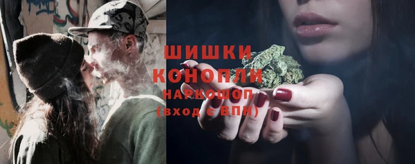 ALPHA PVP Осинники