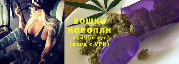 ALPHA PVP Осинники