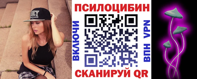 Купить закладки  Берёзовка  Псилоцибиновые грибы MAGIC MUSHROOMS 